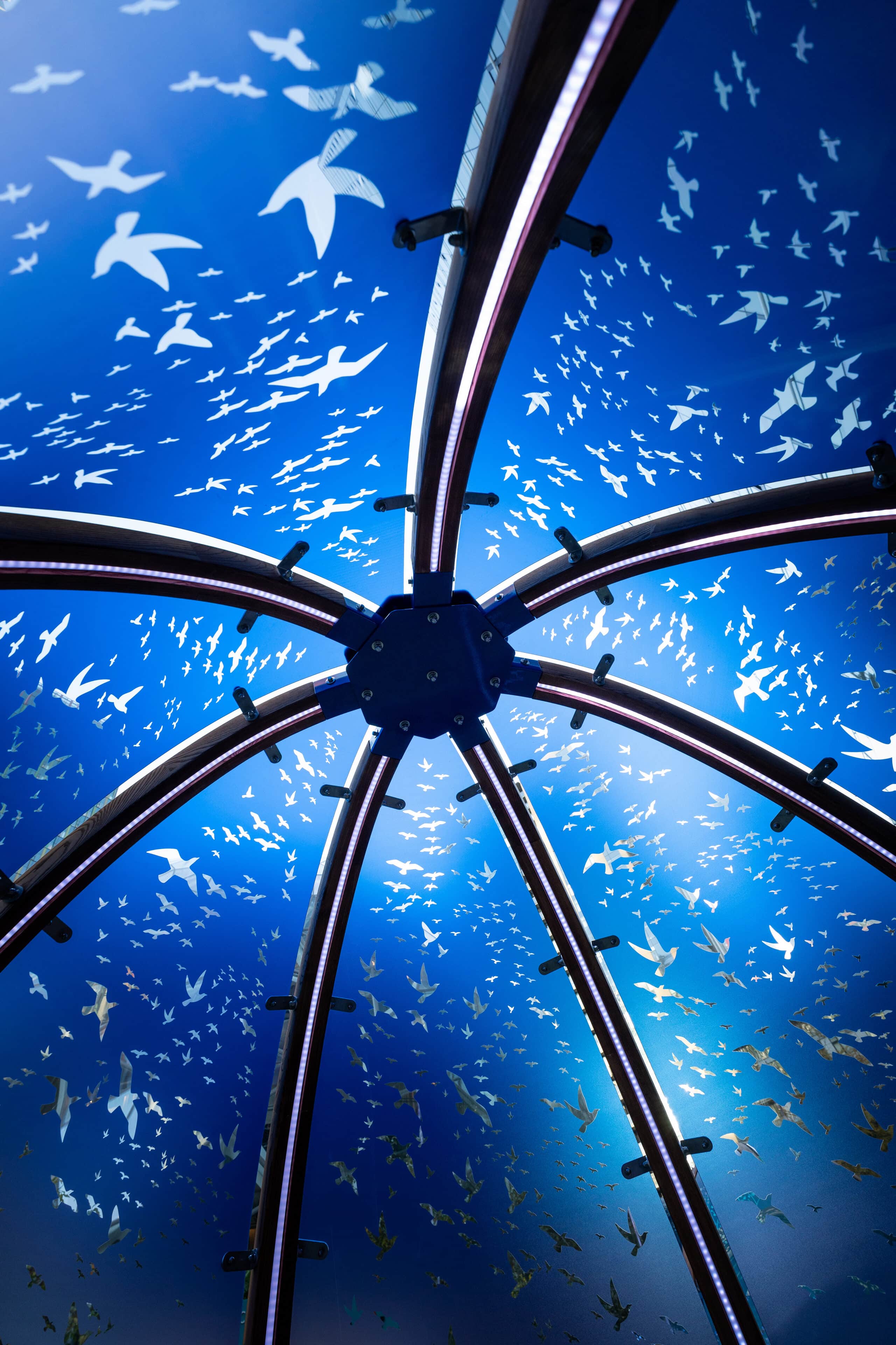 Horizon By Olivier Landreville © Creos 3