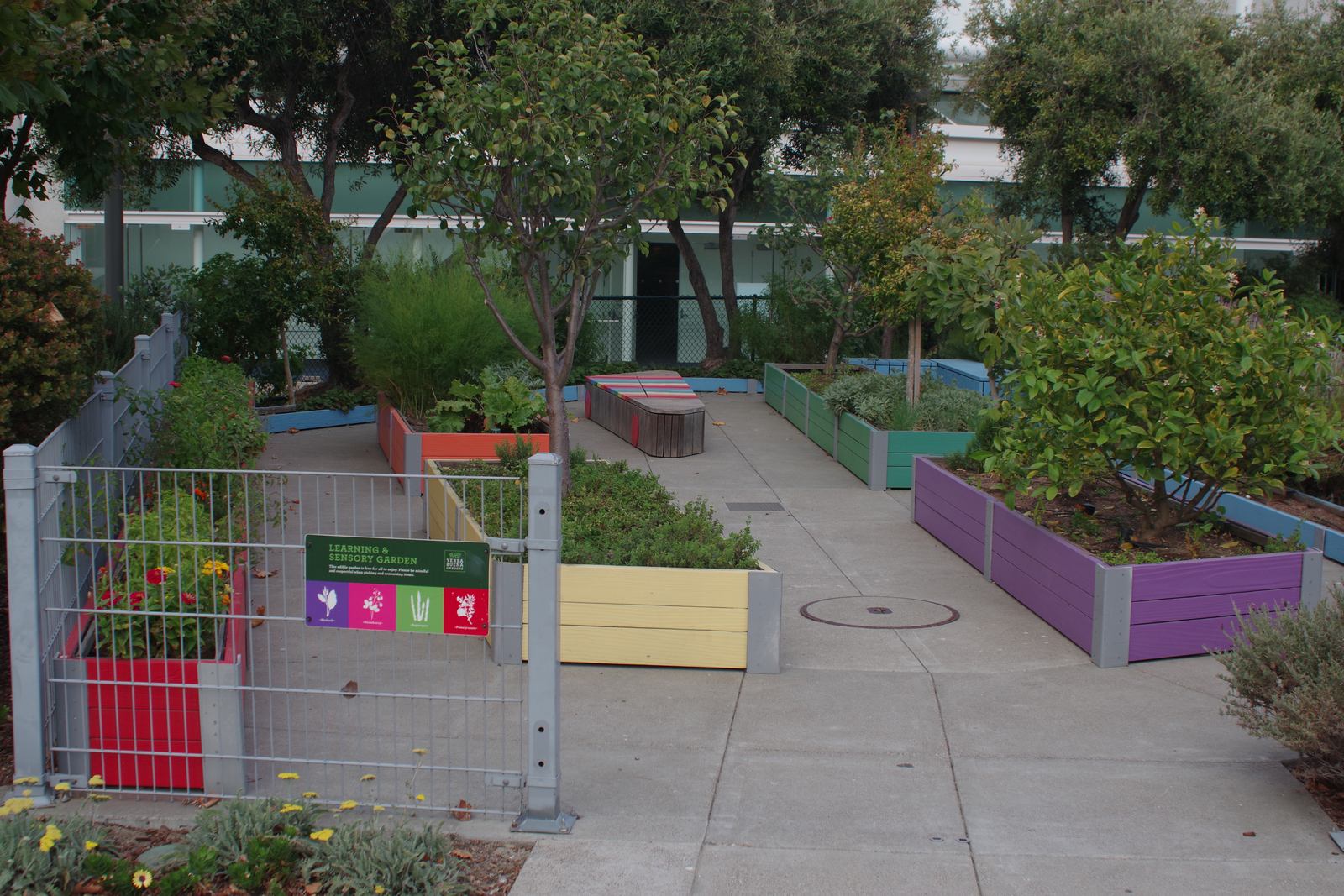 Learning And Sensory 1