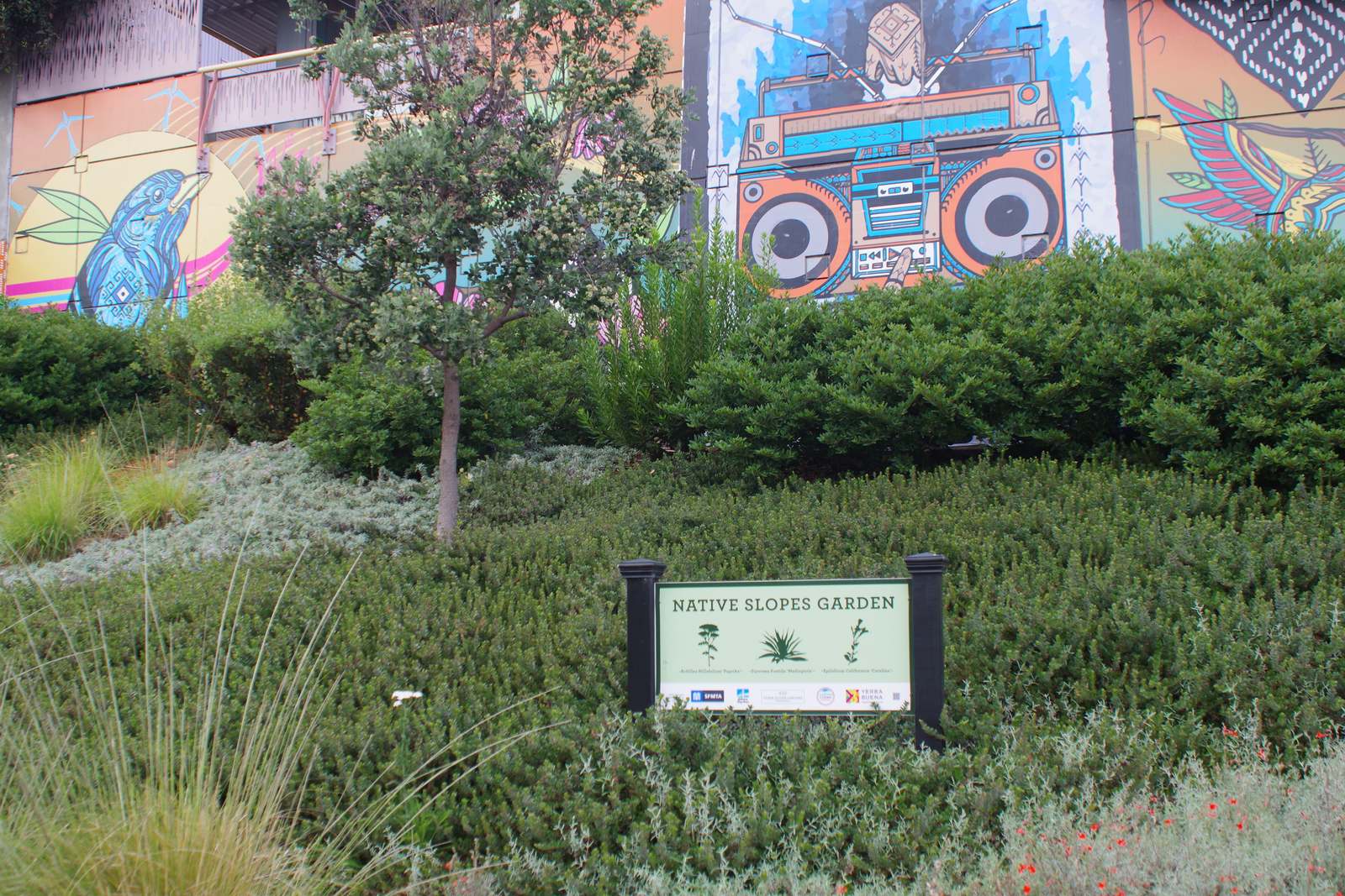 Native Slopes 1